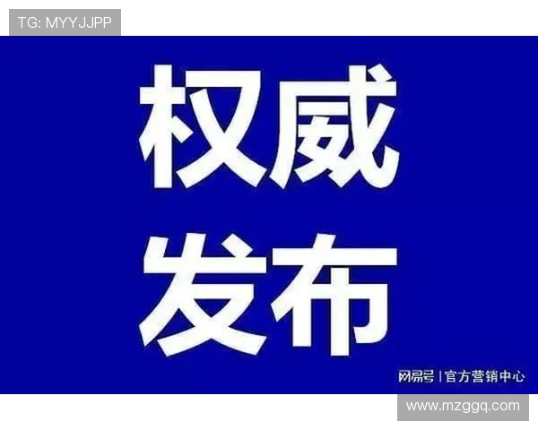 武汉极限运动队的灵活性分析与发展潜力探讨