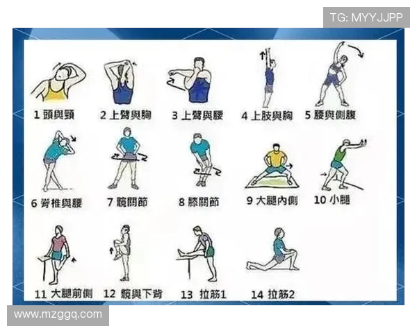 全方位探讨运动对身体健康的积极影响与科学训练方法