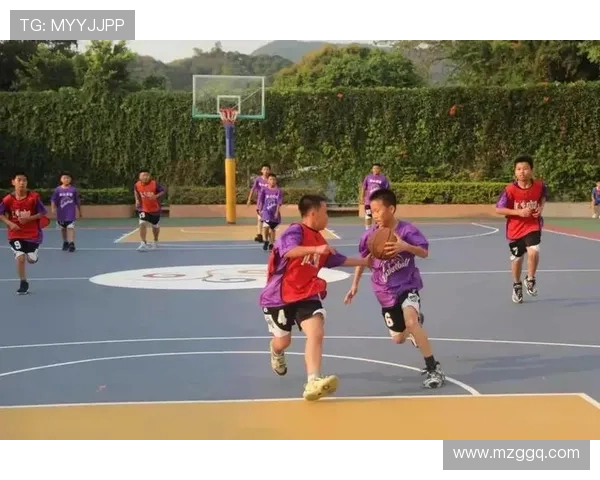 沈梓捷的篮球之路：从青涩少年到CBA明星球员的成长历程